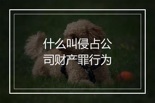 什么叫侵占公司财产罪行为