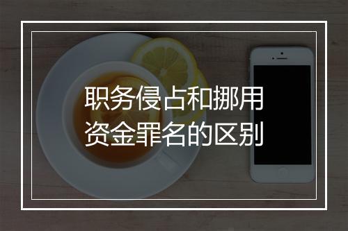 职务侵占和挪用资金罪名的区别