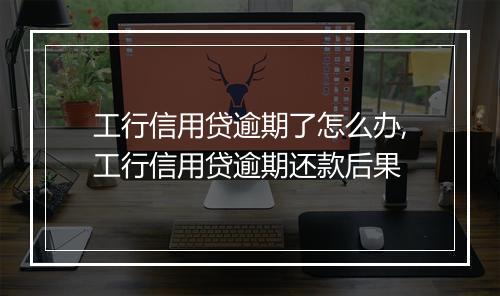 工行信用贷逾期了怎么办,工行信用贷逾期还款后果