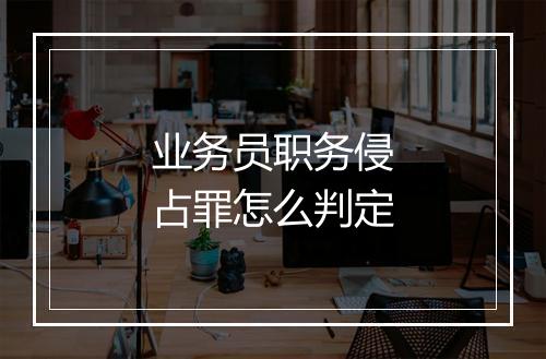业务员职务侵占罪怎么判定