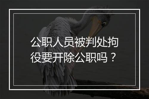 公职人员被判处拘役要开除公职吗？