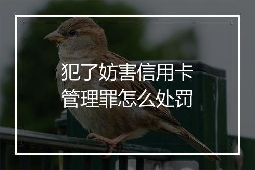 犯了妨害信用卡管理罪怎么处罚