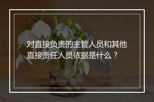 对直接负责的主管人员和其他直接责任人员依据是什么？