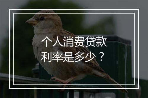 个人消费贷款利率是多少？