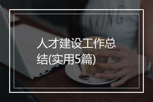 人才建设工作总结(实用5篇)