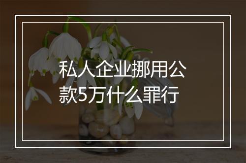 私人企业挪用公款5万什么罪行