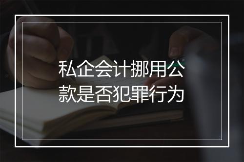 私企会计挪用公款是否犯罪行为