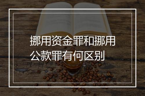 挪用资金罪和挪用公款罪有何区别