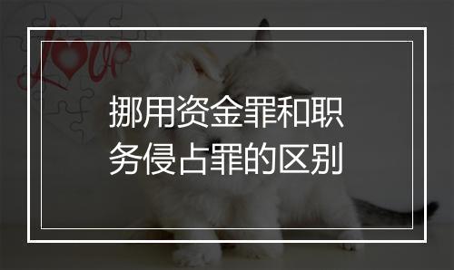 挪用资金罪和职务侵占罪的区别