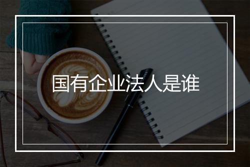 国有企业法人是谁