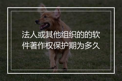 法人或其他组织的的软件著作权保护期为多久
