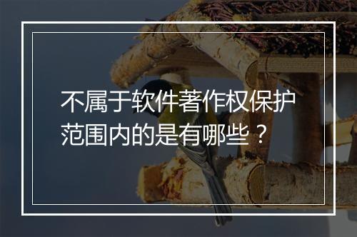 不属于软件著作权保护范围内的是有哪些？