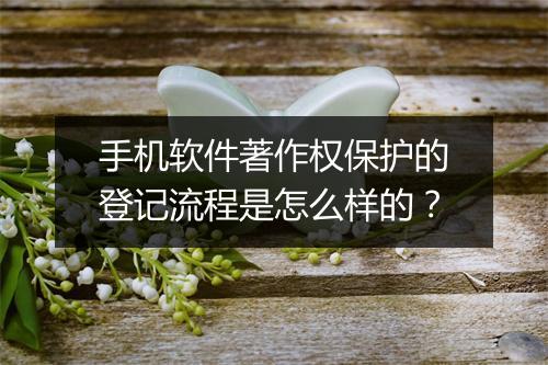 手机软件著作权保护的登记流程是怎么样的？