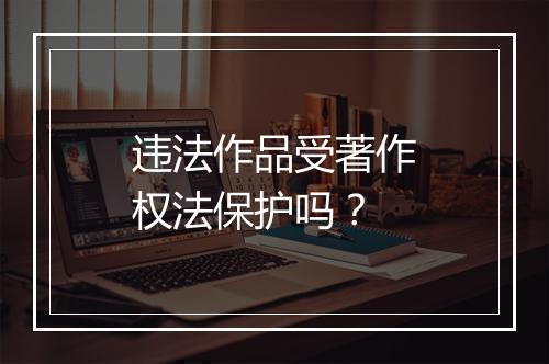 违法作品受著作权法保护吗？