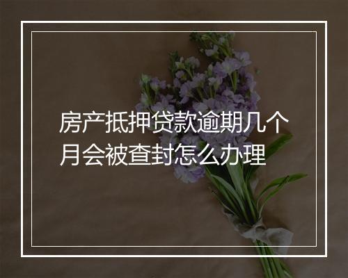 房产抵押贷款逾期几个月会被查封怎么办理