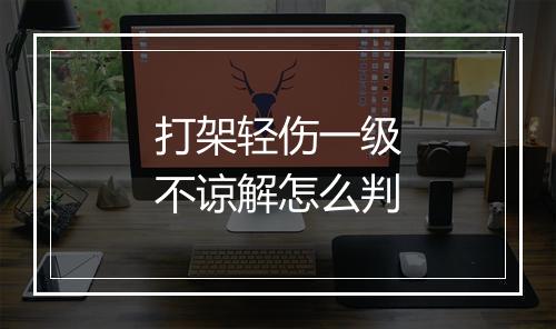 打架轻伤一级不谅解怎么判