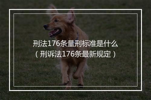 刑法176条量刑标准是什么（刑诉法176条最新规定）