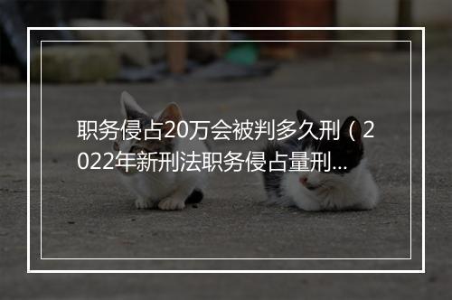 职务侵占20万会被判多久刑（2022年新刑法职务侵占量刑）