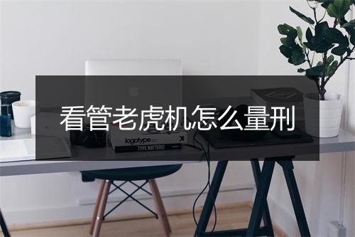 看管老虎机怎么量刑