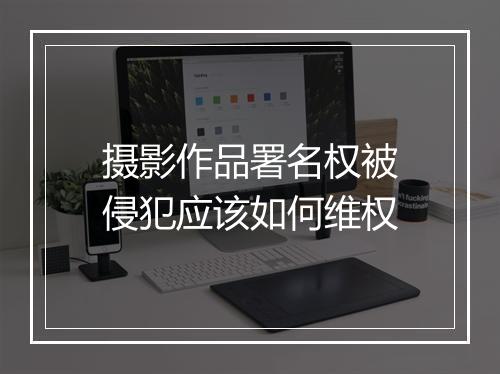 摄影作品署名权被侵犯应该如何维权