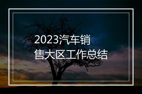 2023汽车销售大区工作总结