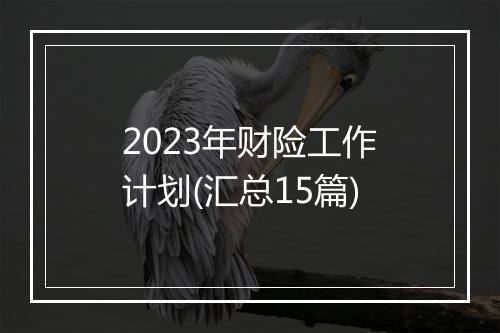 2023年财险工作计划(汇总15篇)