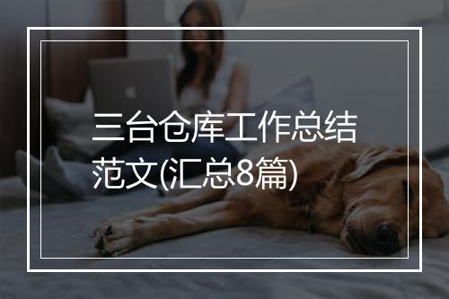 三台仓库工作总结范文(汇总8篇)
