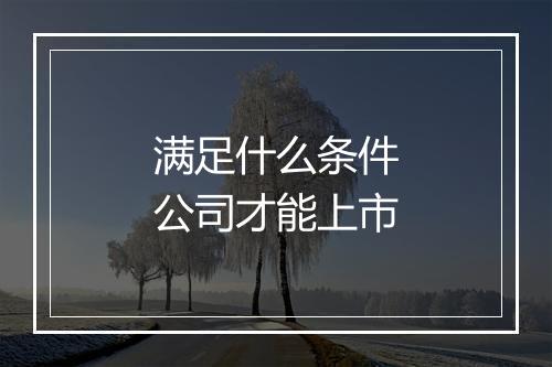 满足什么条件公司才能上市