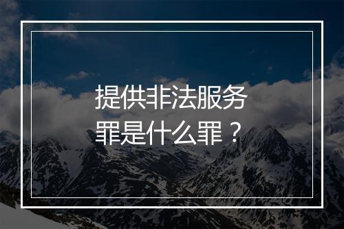 提供非法服务罪是什么罪？