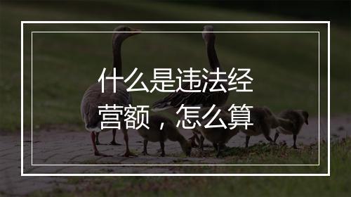 什么是违法经营额，怎么算