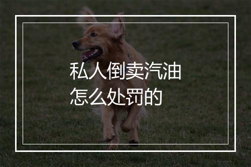 私人倒卖汽油怎么处罚的