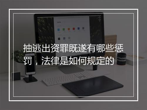 抽逃出资罪既遂有哪些惩罚，法律是如何规定的