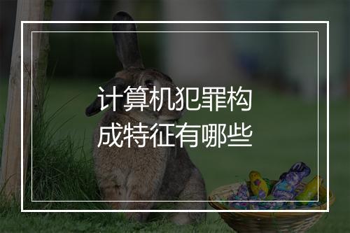 计算机犯罪构成特征有哪些
