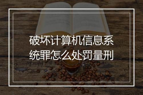 破坏计算机信息系统罪怎么处罚量刑