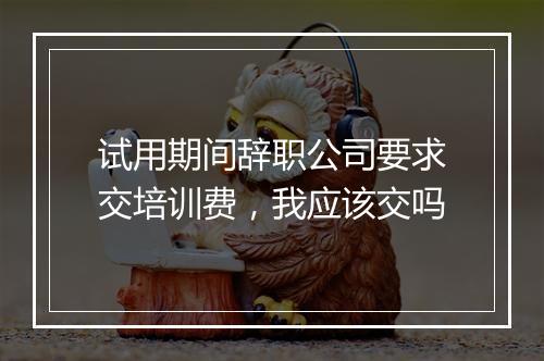 试用期间辞职公司要求交培训费，我应该交吗
