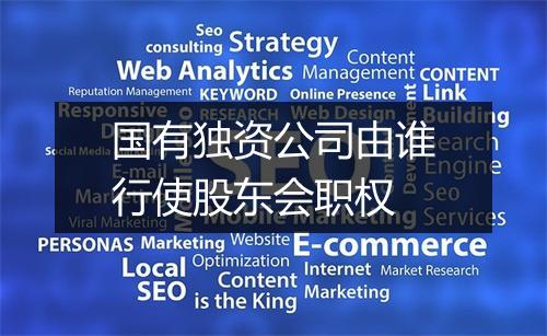 国有独资公司由谁行使股东会职权