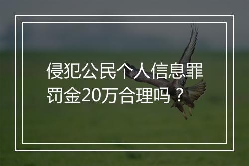 侵犯公民个人信息罪罚金20万合理吗？
