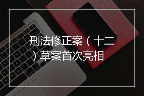 刑法修正案（十二）草案首次亮相