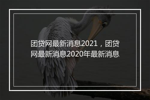 团贷网最新消息2021，团贷网最新消息2020年最新消息