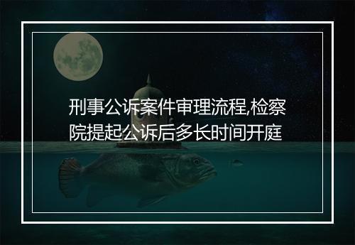 刑事公诉案件审理流程,检察院提起公诉后多长时间开庭