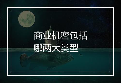 商业机密包括哪两大类型