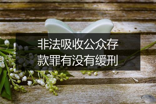 非法吸收公众存款罪有没有缓刑