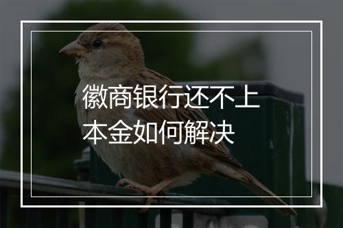 徽商银行还不上本金如何解决