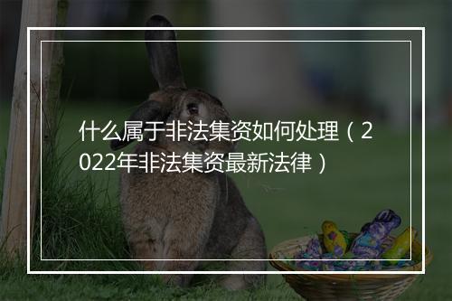 什么属于非法集资如何处理（2022年非法集资最新法律）