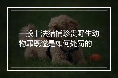 一般非法猎捕珍贵野生动物罪既遂是如何处罚的
