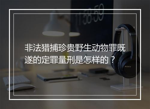非法猎捕珍贵野生动物罪既遂的定罪量刑是怎样的？