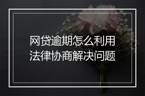 网贷逾期怎么利用法律协商解决问题