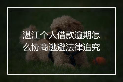 湛江个人借款逾期怎么协商逃避法律追究