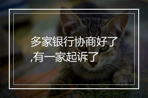 多家银行协商好了,有一家起诉了