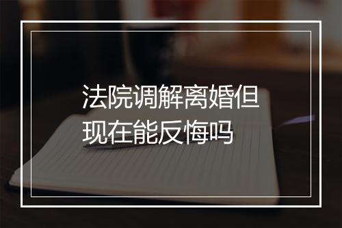 法院调解离婚但现在能反悔吗